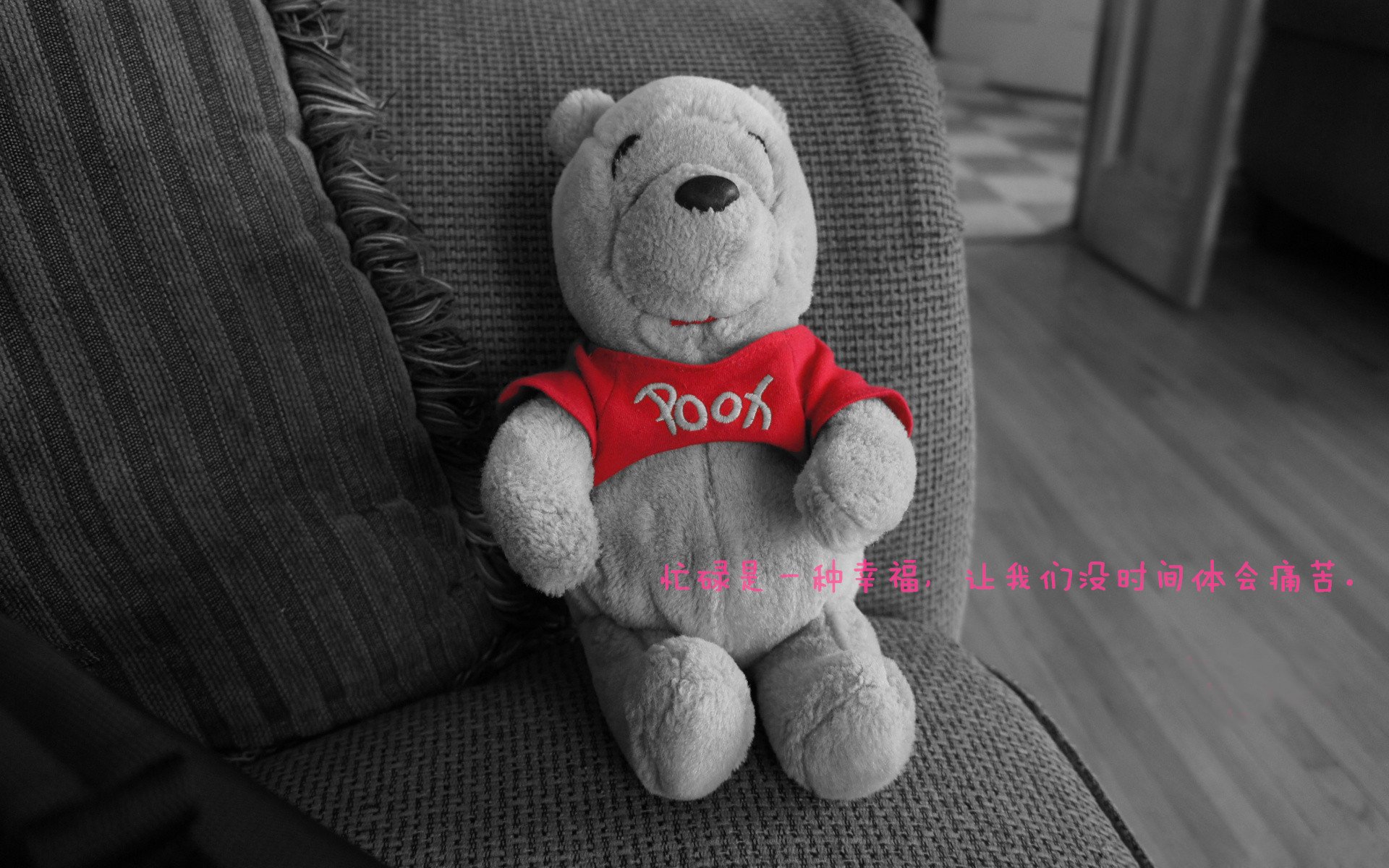 开云体育平台-_极地冰川雪地摩托：冰原上的速度狂飙_，极地冰川融化图片