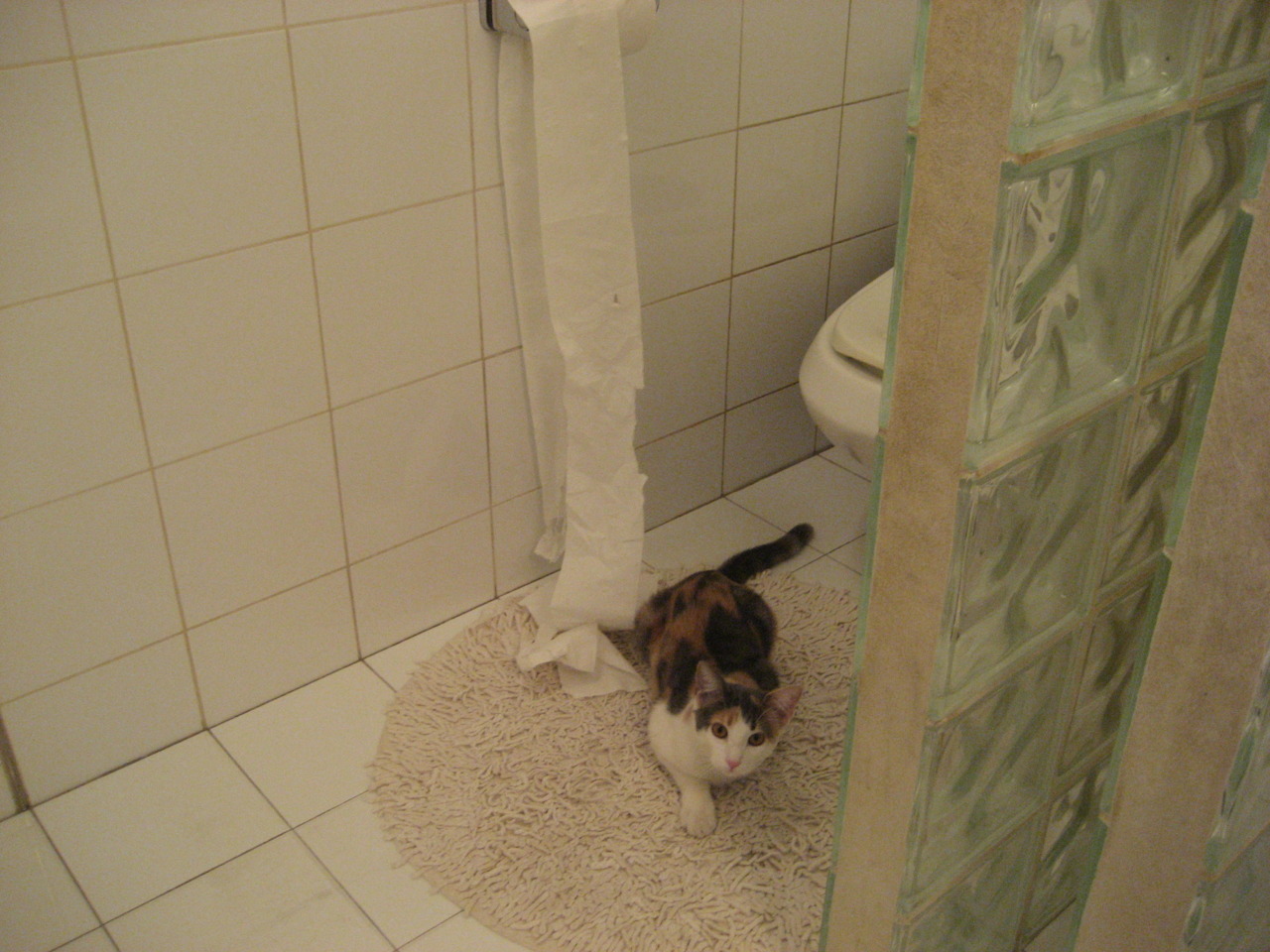 【专业点评】比赛中罚分判决大败局背后的战术失误,比赛中罚球得几分